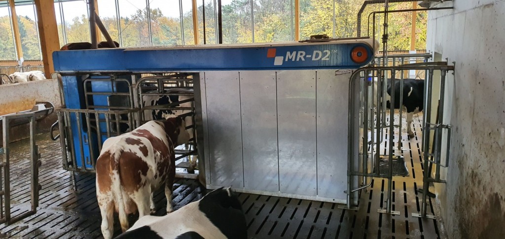 
				Robot BouMatic Robotics (MR-D2), ki molze dve kravi hrati (foto: Agrorobomar)			